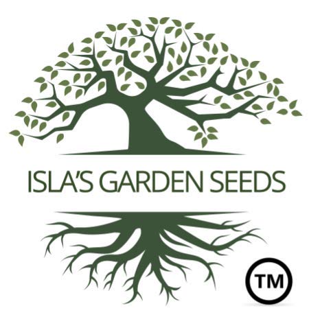 Semillas de Repollo Late Flat Dutch, Isla's Garden, Heirloom