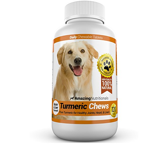 Increíble cúrcuma para perros Antioxidante para mascotas