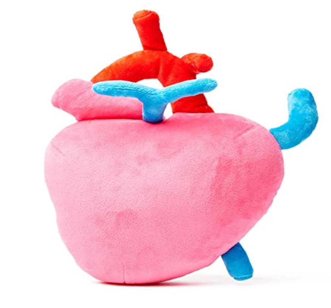 Corazón de peluche con texto en inglés