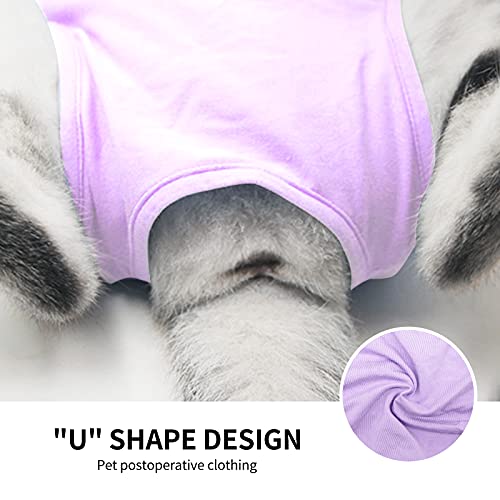 TRAJE profesional de recuperación de gatos para heridas abdominales o enfermedades de la piel, después de la cirugía, uso antilesiones, alternativa transpirable de cuello E para gatos