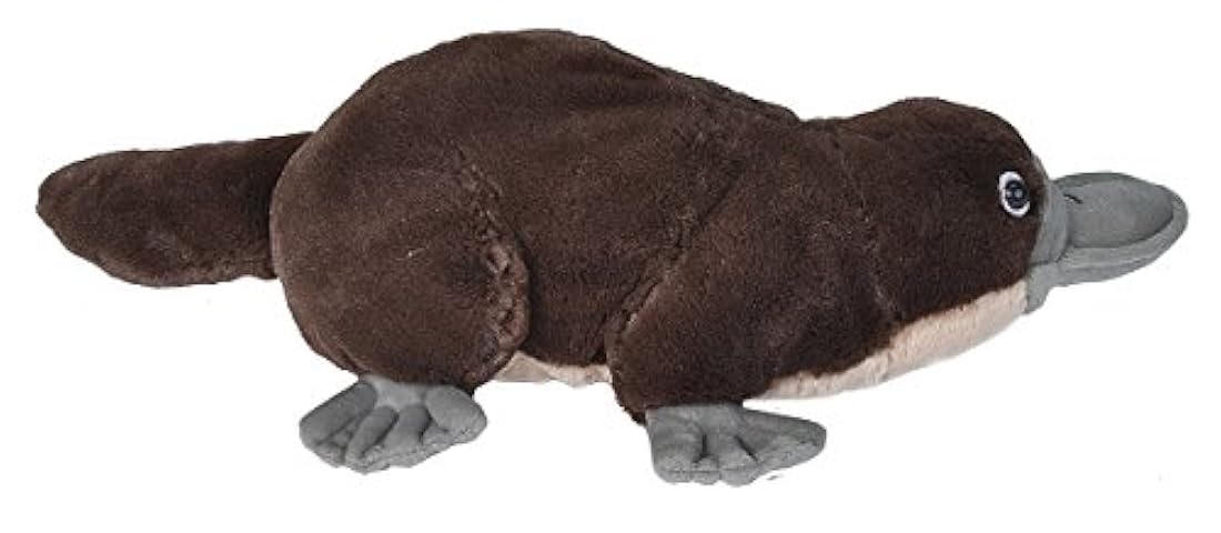 Peluche Platypus