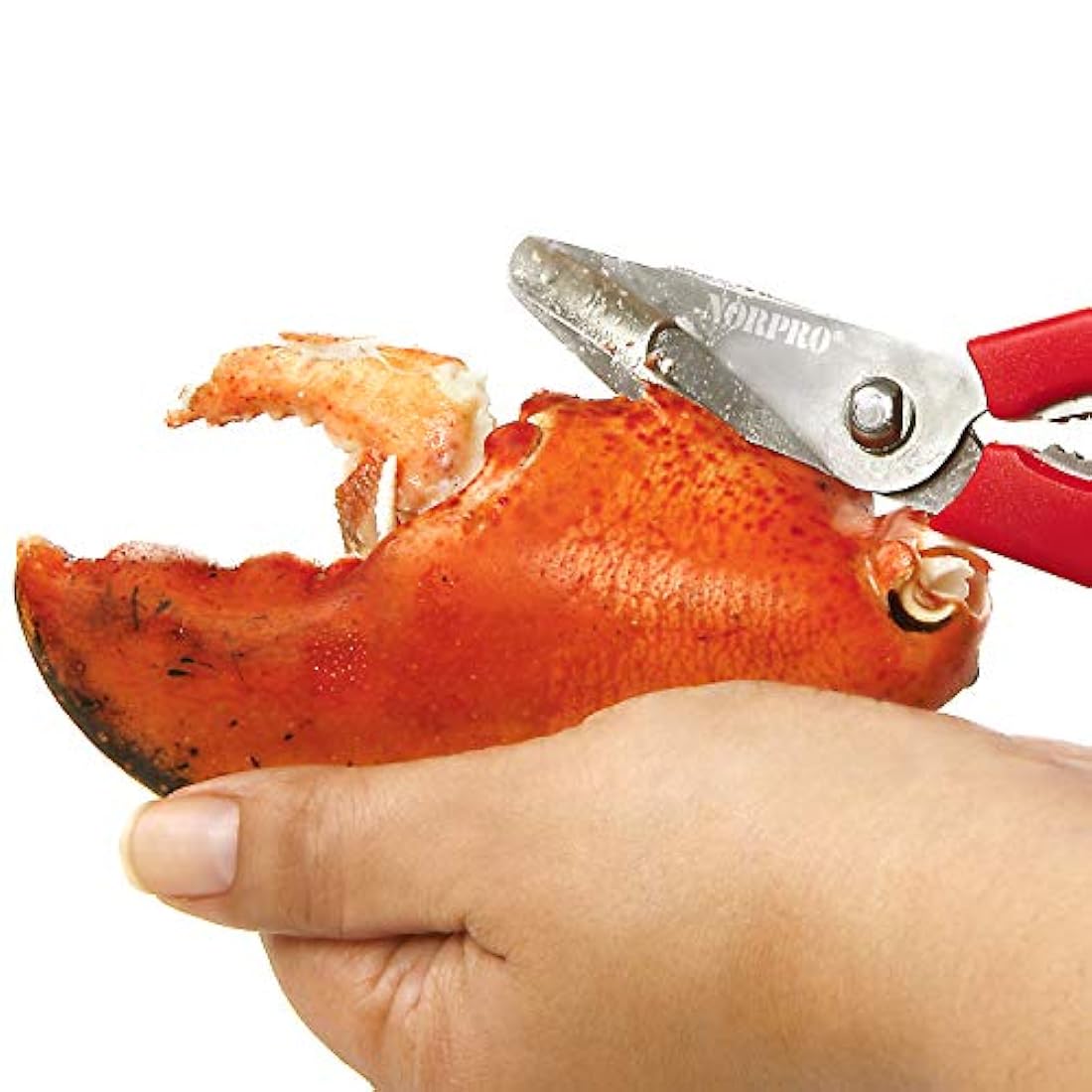 Norpro – ULTIMATE Tijeras de acero inoxidable y rojo marisco