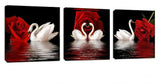 Amoy Art – Cisnes y rosas, modernas reproducciones en lona