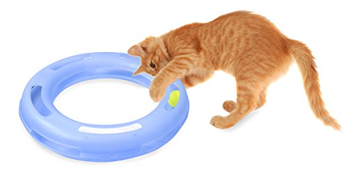 Juguete interactivo para gatos