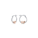 Aretes hipoalergénicos de plata con diseño para mujer