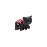 Disfraces de perro de Halloween talla