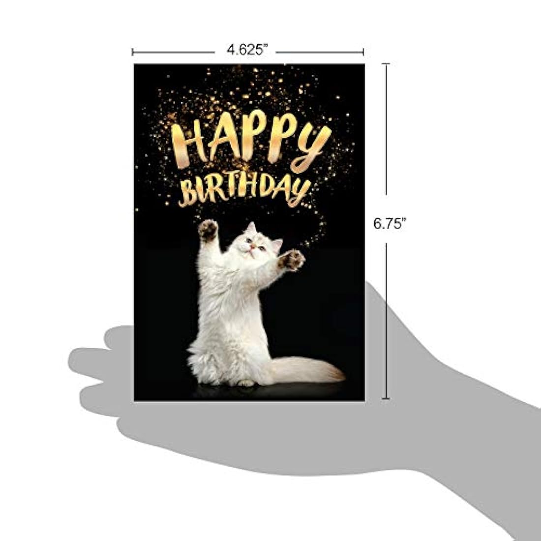 Tarjeta de felicitación para gatos: tarjeta de cumpleaños