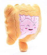 Nerdbugs Intestines / Colon Plush Organ-