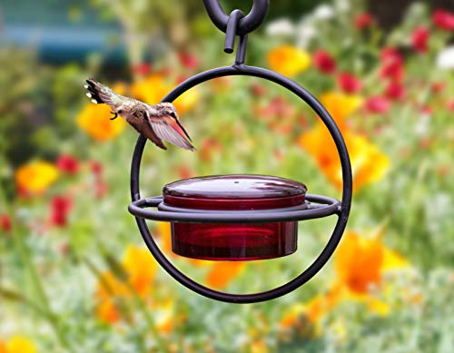 Comedero circular para colibrí, de cristal rojo
