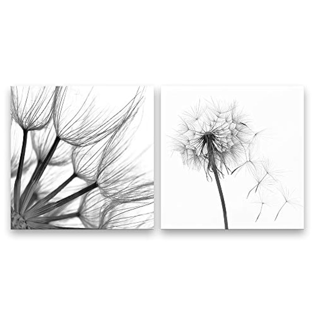 Lienzo decorativo para pared, 2 piezas