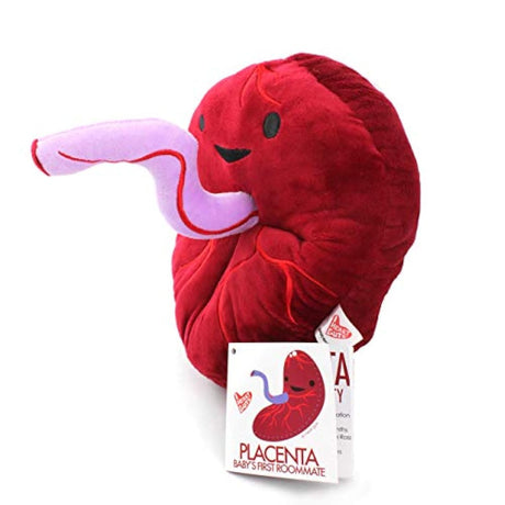 Baby 's First de placenta Roommate Diseñador Plush Figure I Heart Guts.