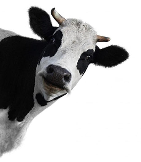 Wallmonkeys - Adhesivo decorativo para pared de vaca.