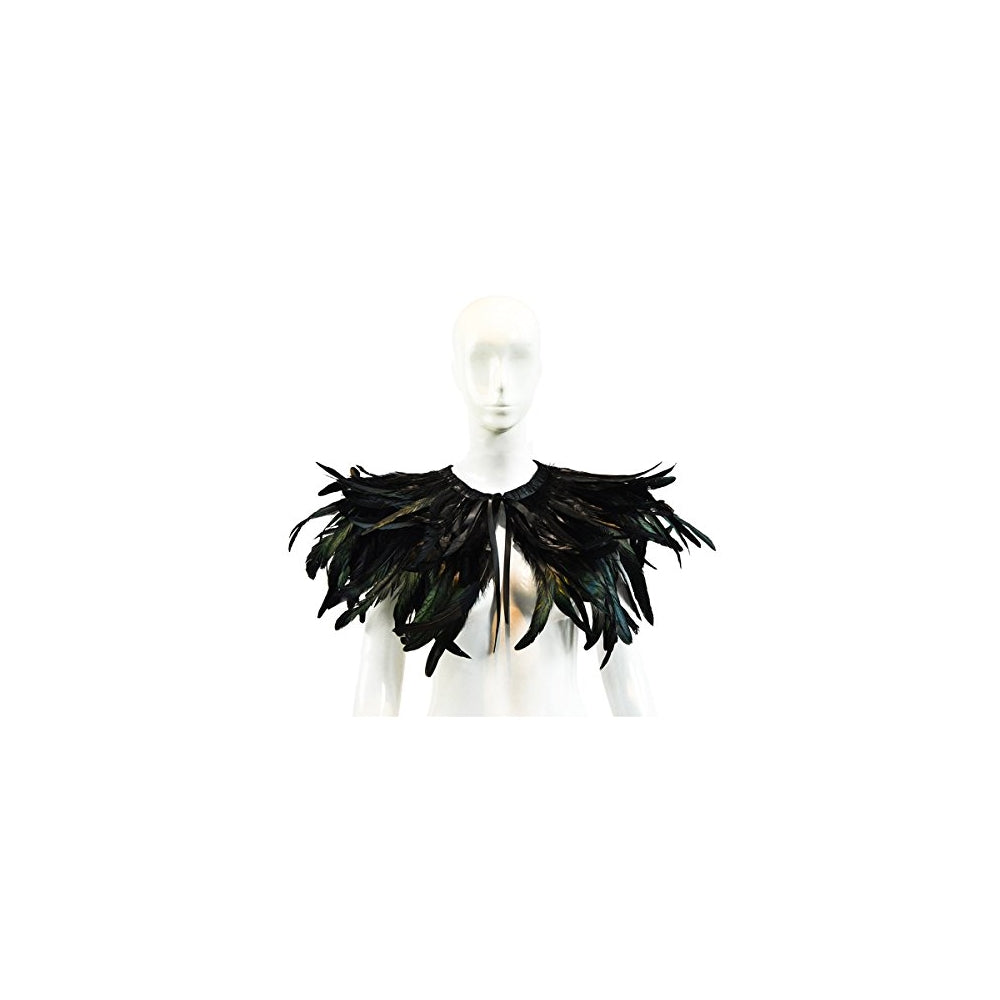 Disfraz gótico de plumas negras para hombre