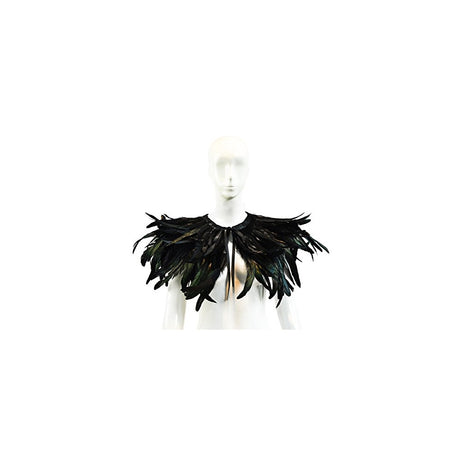 Disfraz gótico de plumas negras para hombre