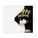 Tarjeta de felicitación para gatos: tarjeta de cumpleaños