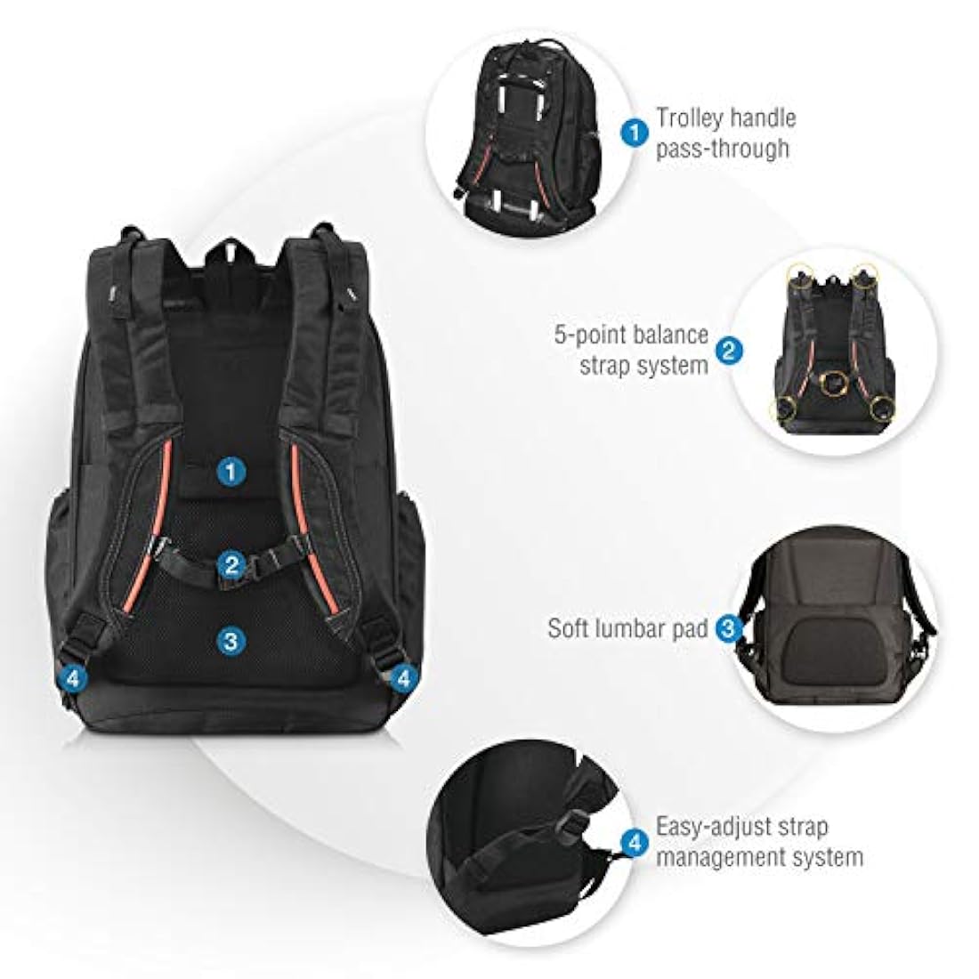 Morral adaptable de 13 a 17.3 in para laptop/Negro. Everki