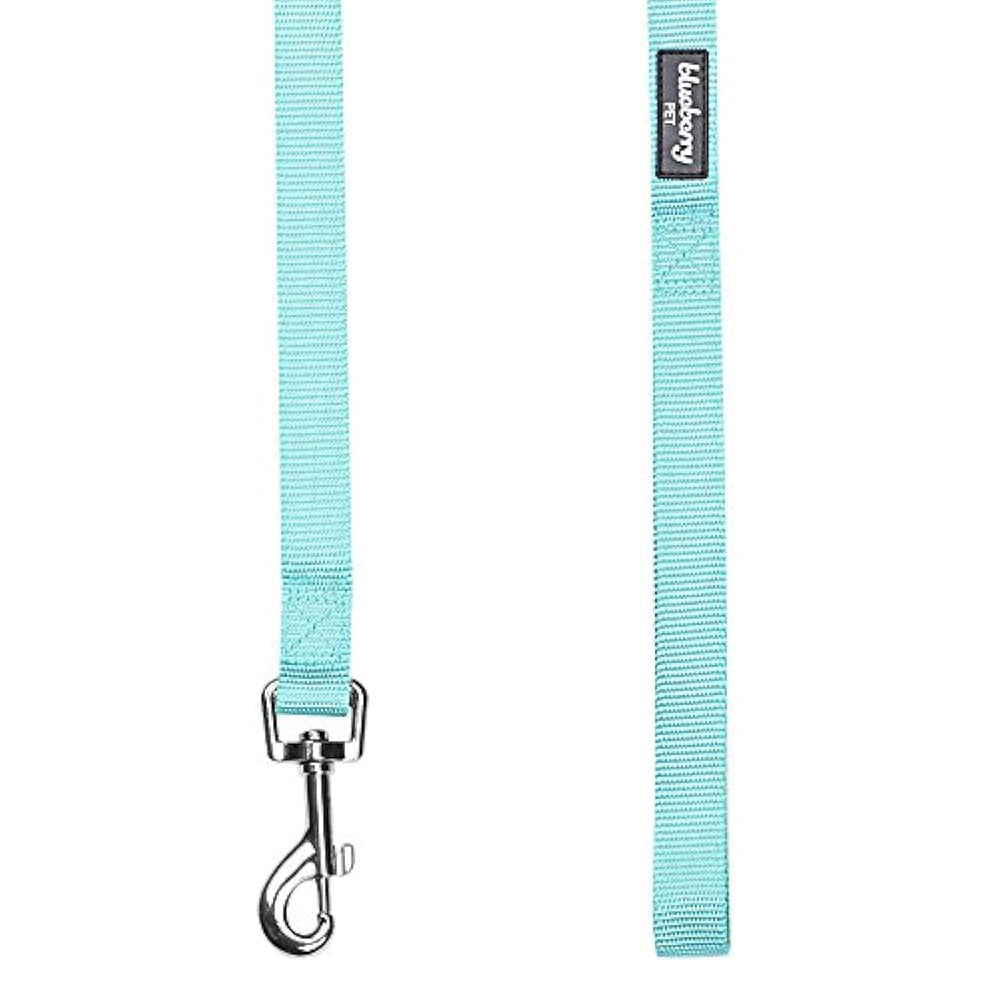 Correa clásica duradera para perros 5 pies x 3/4