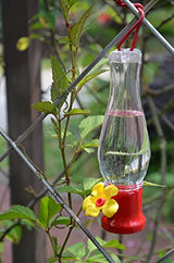 comederos de colibrí 4 paquetes de tulipán y ligeros