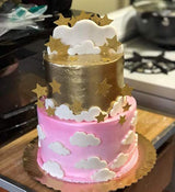 cortadores de fondant para tartas 5 unidades - PalkSky