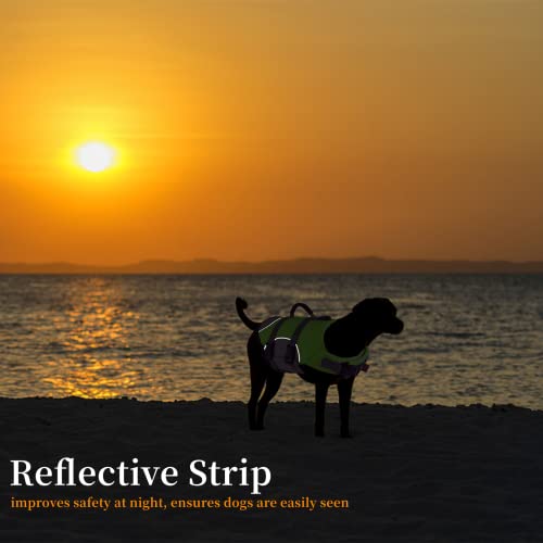 Chaleco salvavidas para perro, reflectante y ajustable