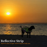 Chaleco salvavidas para perro, reflectante y ajustable