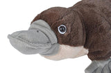 Peluche Platypus