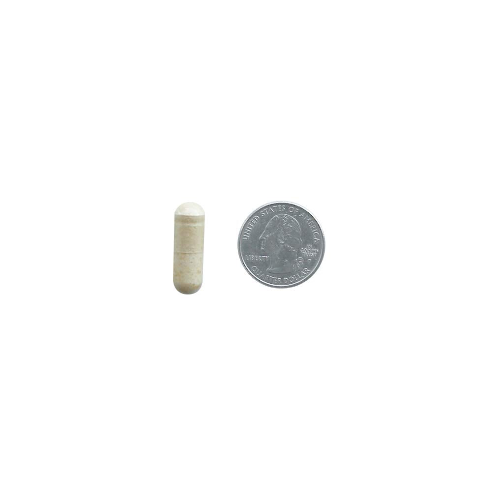 Suplemento perfecto de electrolitos de la gripe