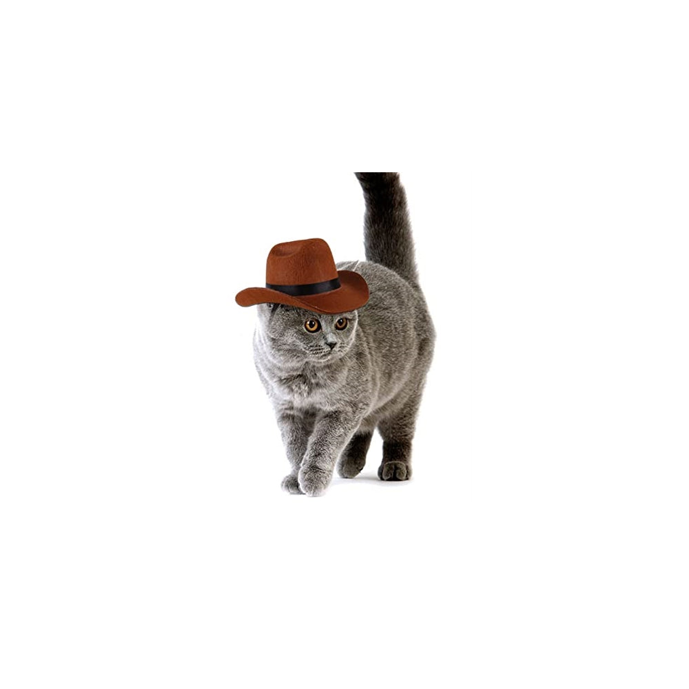 Disfraces  de vaquero para mascotas talla S