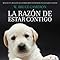 Libros La razón de estar contigo La historia de Bailey
