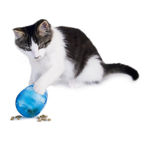 Juguete para gatos dispensadores de comida
