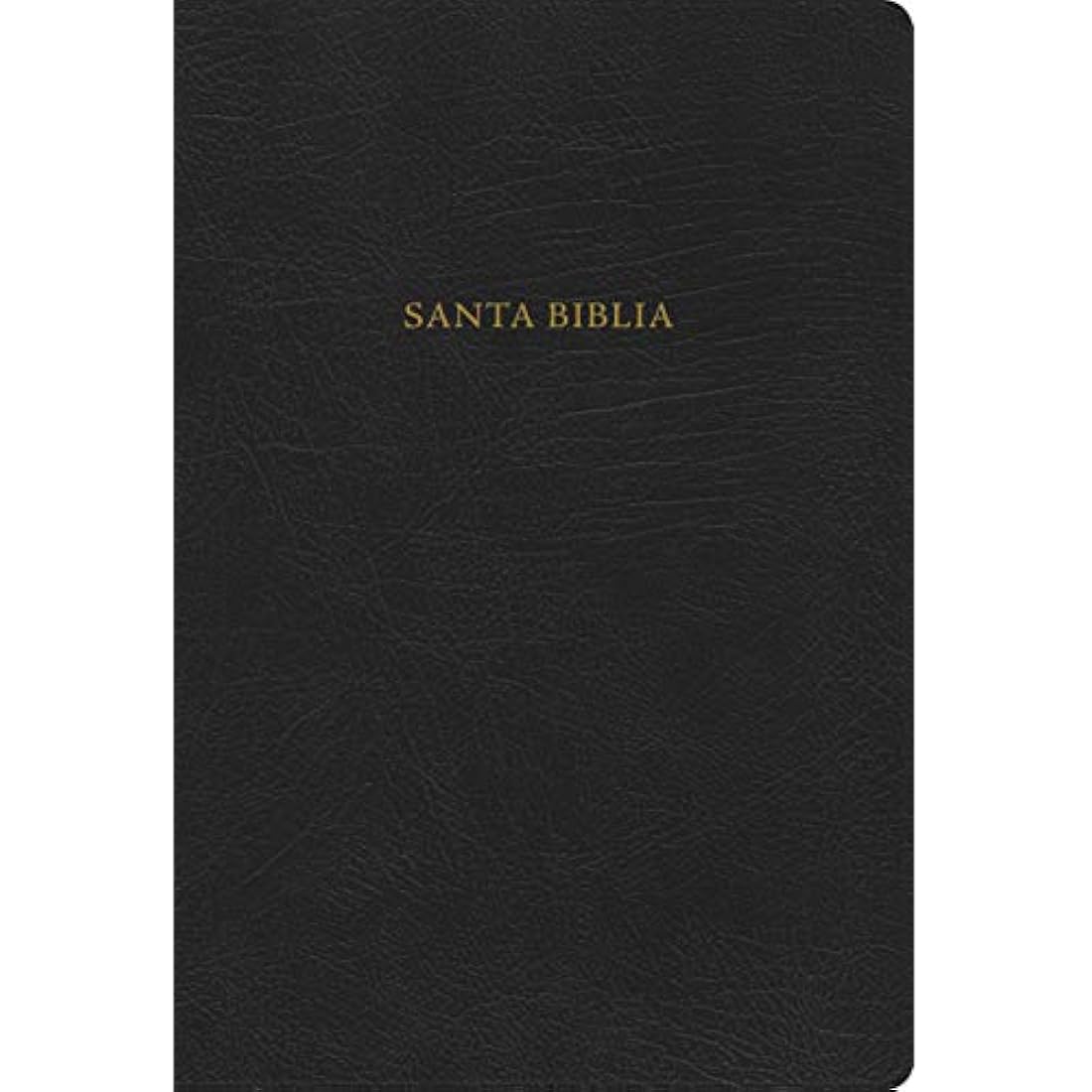 RVR 1960 Nueva Biblia de Estudio Scofield negro