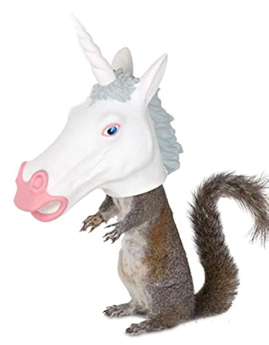Alimentador de ardilla con diseño cabeza de unicornio