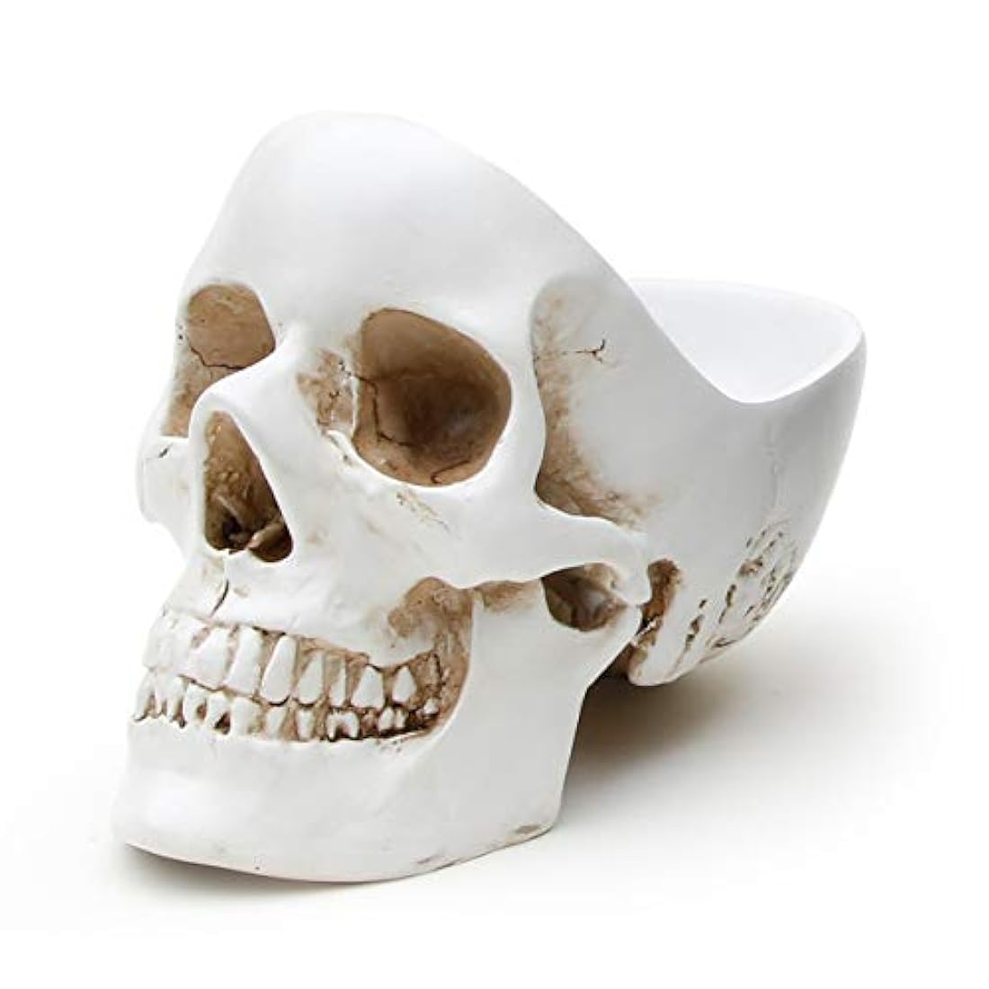 Joyería con diseño de calavera de pájaros de Suck UK