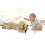 Peluche diseño de Perro color Beige, 27.0in, 130000