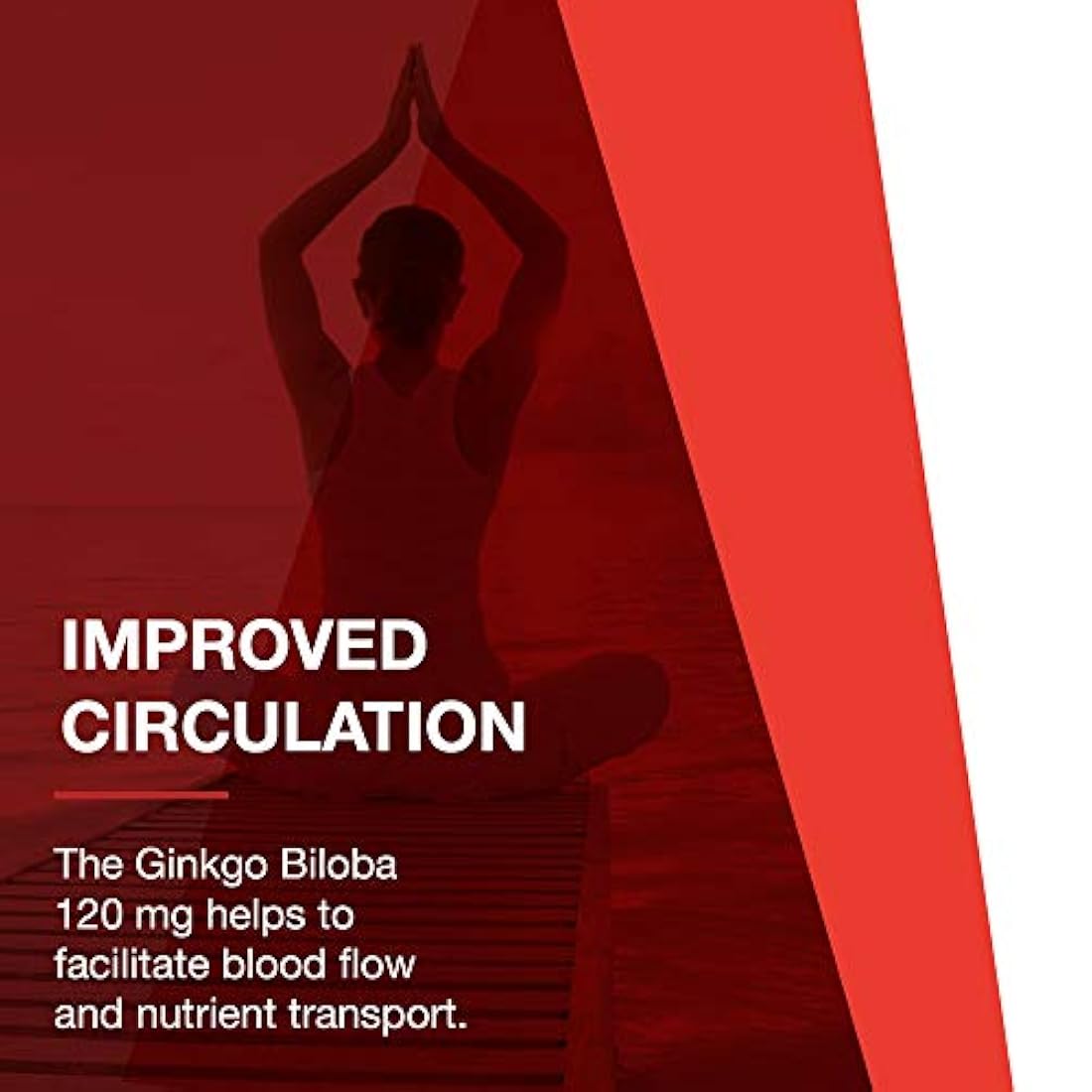 Protocolo para Equilibrio en la vida – Ginkgo Biloba 120 mg