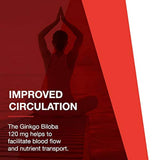 Protocolo para Equilibrio en la vida – Ginkgo Biloba 120 mg