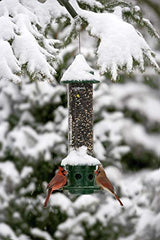 Squirrel Buster Plus - Comedero para pájaros a prueba de ardillas con anillo cardenal