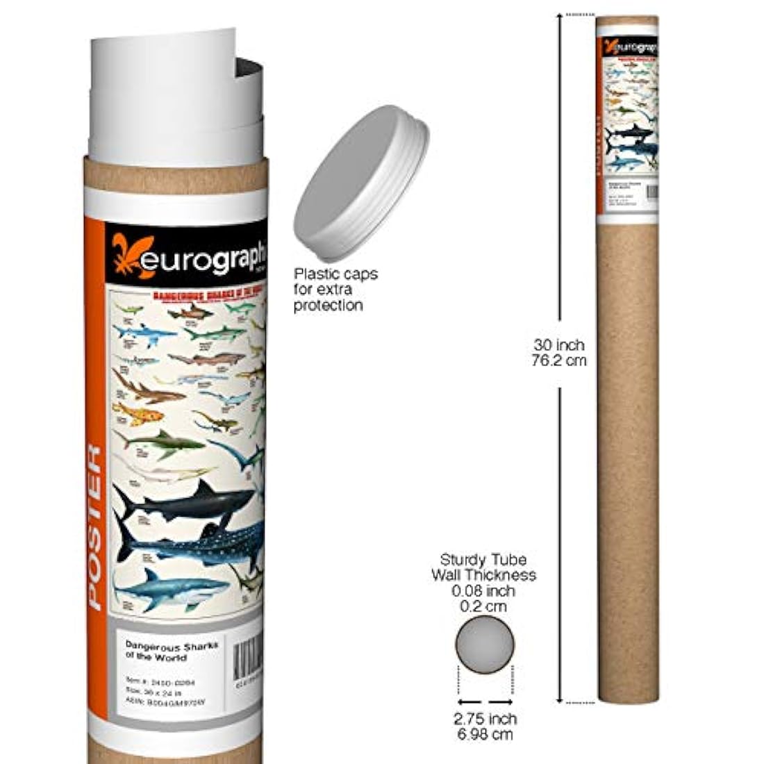 Eurographics – Póster de tiburón, impresión 24 x 36