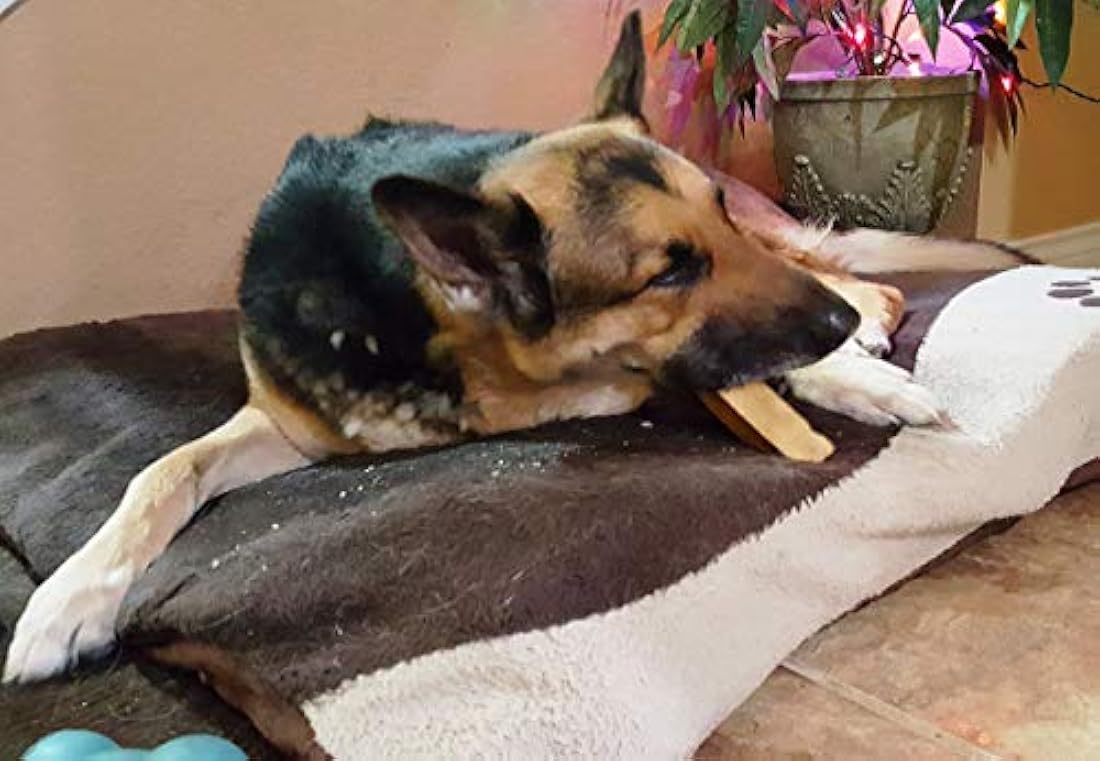 Masticar para perros tibetanos con queso del Himalaya