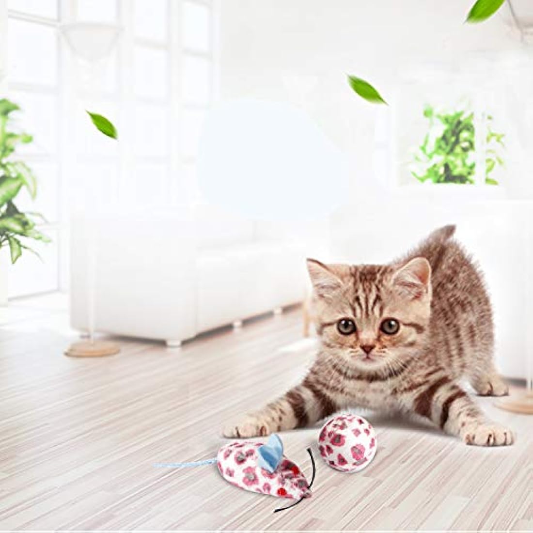 PAWISE Kit de iniciación para gatos, incluye 4 suministros para gatitos, ideal para gatitos pequeños, 14.5 x 10.5 pulgadas
