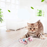 PAWISE Kit de iniciación para gatos, incluye 4 suministros para gatitos, ideal para gatitos pequeños, 14.5 x 10.5 pulgadas
