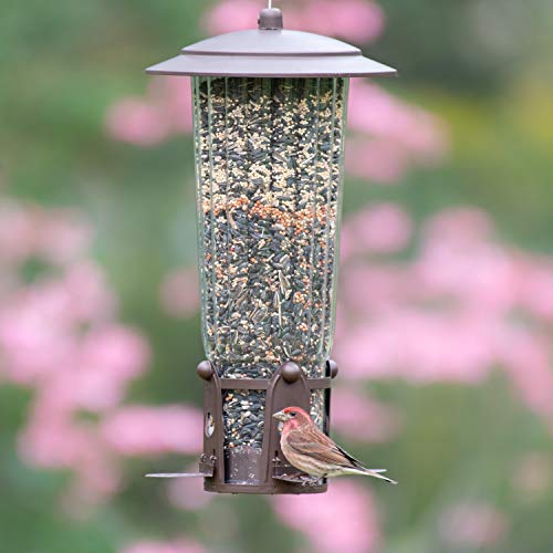 Perky-Pet 334-1SR Squirrel-Be-Gone Max Alimentador de pájaros con Flexports - 4 Lb