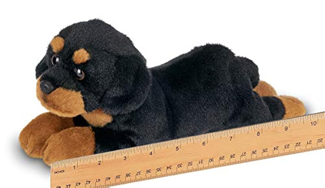 Peluches Perro de peluche pequeño 8 pulgadas