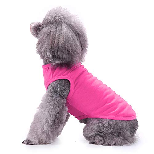 Chol&amp;Vivi - Camisetas para perro (2 unidades, talla pequeña, tamaño mediano, grande, extra grande, para perro, gato, algodón, suave y transpirable, Rosa y rojo rosa.