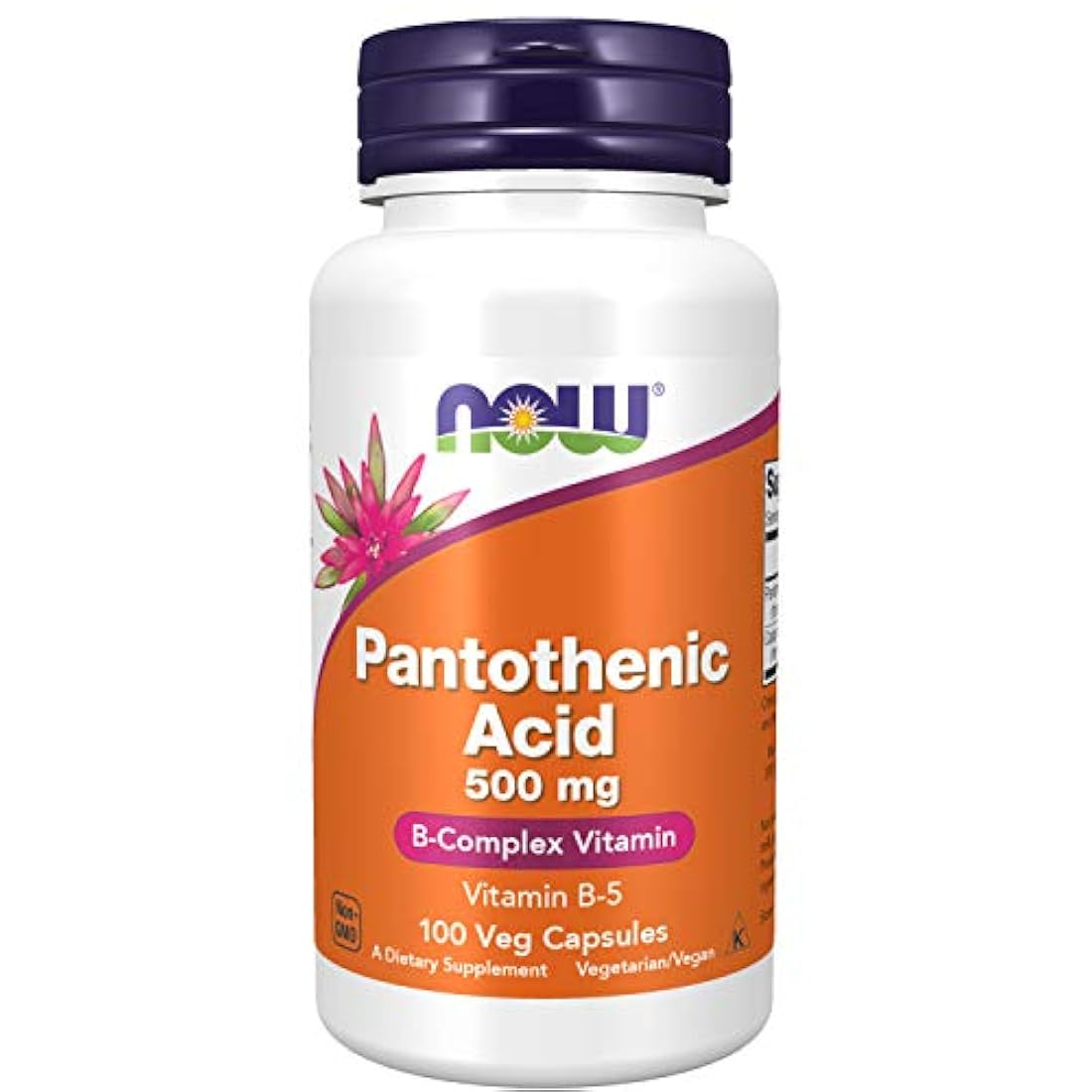 Now Foods ácido pantoténico 0.01 onzas., ANO-1054, 100, 1, 1
