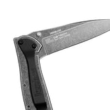 Kershaw Leek, Navaja de bolsillo BlackWash 1660BLKW