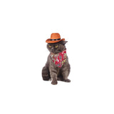 Disfraces  de vaquero para mascotas talla S