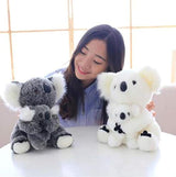 peluche Koala 11 inc