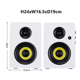 Altavoces de estantería de doble modo de 80 W Sanyun SW206