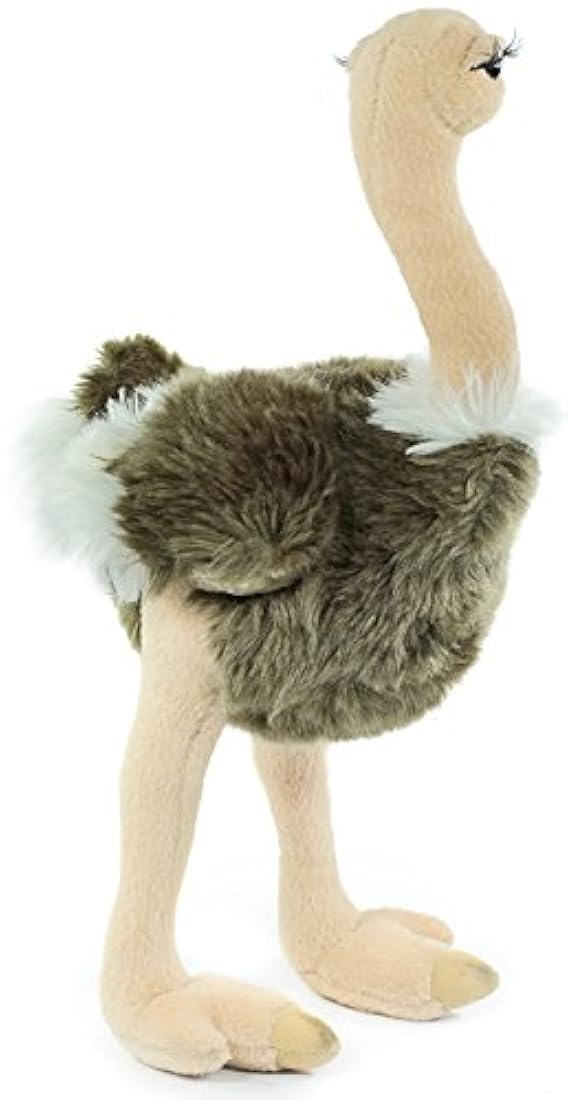 Peluches  Cuento de avestruz